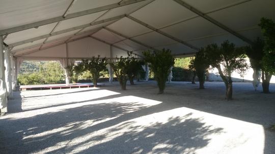 carpa para boda a dos aguas 