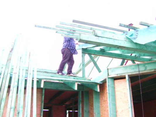 estructura