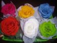 ROSAS LIOFILIZADAS