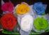 ROSAS LIOFILIZADAS