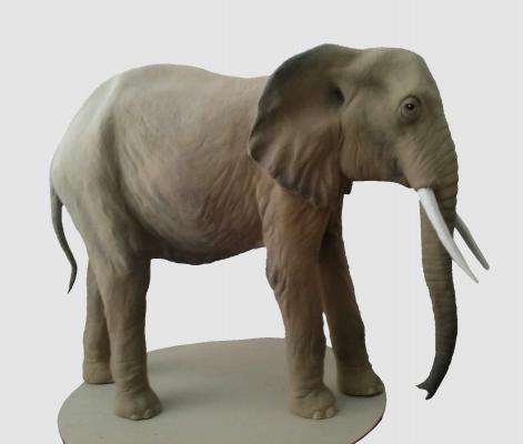 F-45 elefante