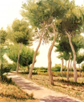 Paisaje 62