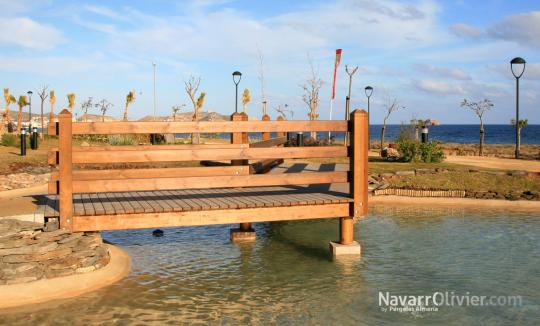 pasarela de madera para expejo de agua artificial
