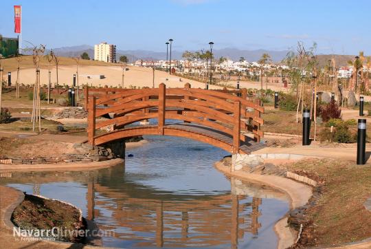 Puente de madera sobre estanque artificial en zona de jardin