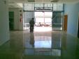 mutua