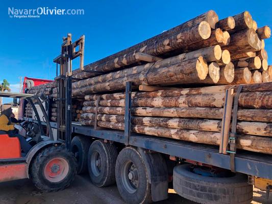 Construcción en madera con tronco natural