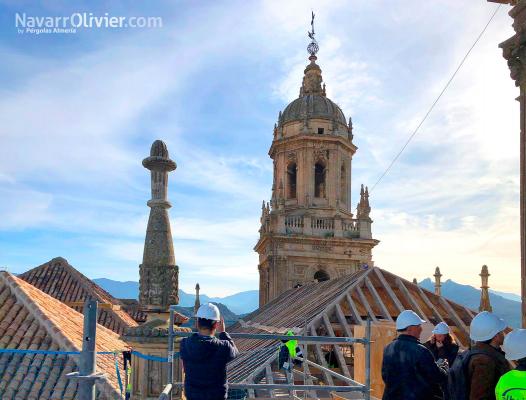 Rehabilitación de cubierta de la Catedral de Jaén
