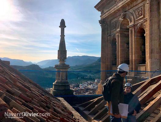 Inspección y diagnostico de la cubierta de catedral de jaén