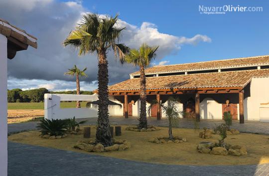 Construcción de cubiertas de teja con estructura de troncos