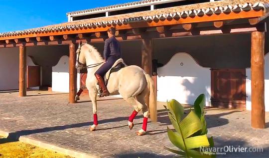Cuadra para caballos de tronco tratado cubierta en teja árabe
