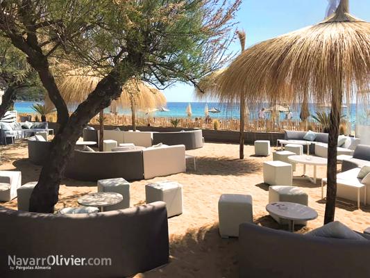 Sombrillas de tronco y carritx para terraza de beach bar