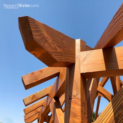 Estructura tradicional de madera en abeto douglas, Pérgola hexagonal