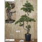 Bonsai artificial pino japones grande 158