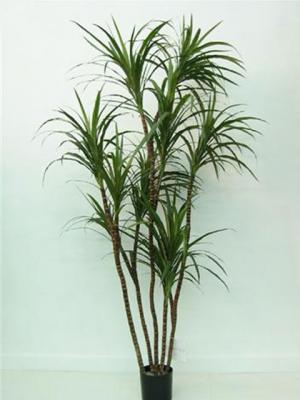 Dracenas Artificiales , tan naturales como las reales, en ArticoEnCasa.com