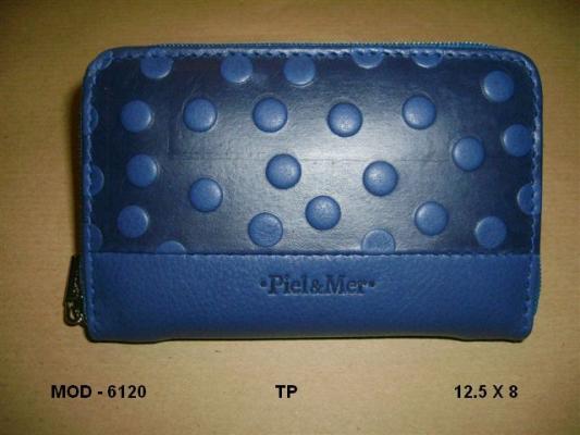 Monedero 6120