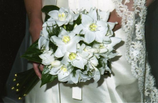 Ramo de eucharis