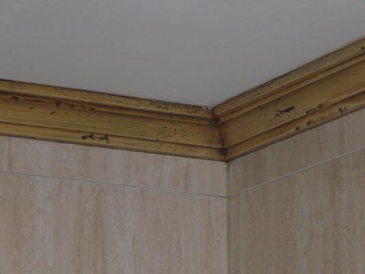 IMITACION A MADERA EN ESCAYOLA