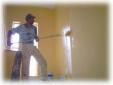 pintura