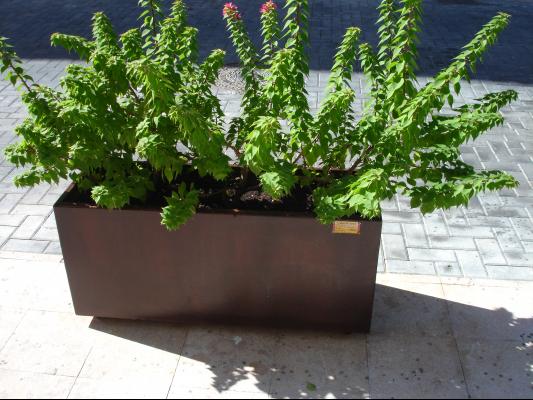 Jardinera Acero Corten