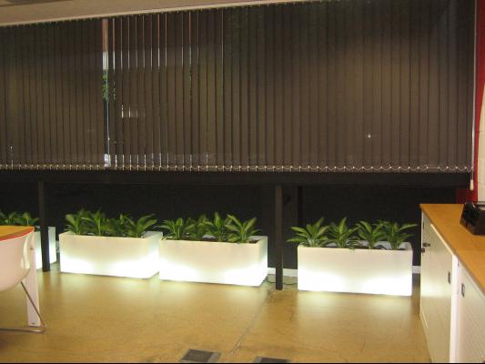 OFICINAS SCANDINAVIAN TOBACCO GROUP