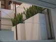 OFICINAS SCANDINAVIAN TOBACCO