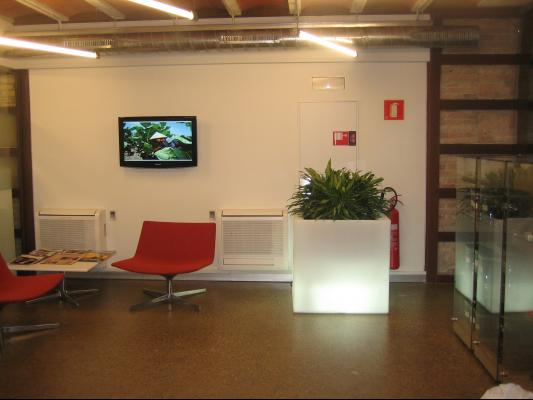 OFICINAS SCANDINAVIAN TOBACCO