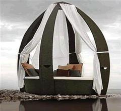 carpa viro