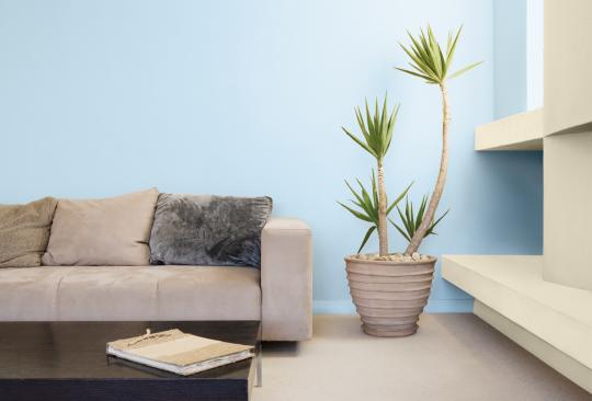 Inspira de Valentine_Natural Home