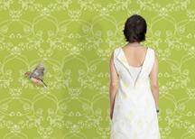pajaros