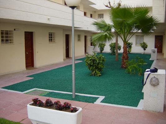 Aricolor en patio interior