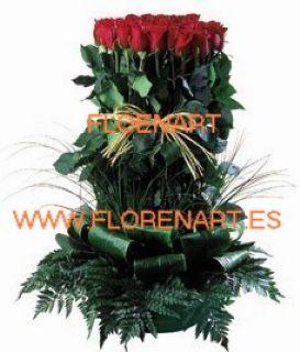 Paralelo de Rosas