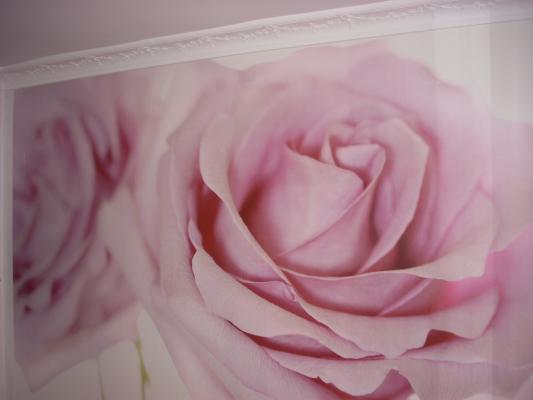 MURAL EN VESTIDOR