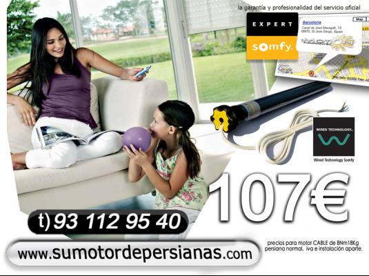 Precio de Motor Cable Somfy