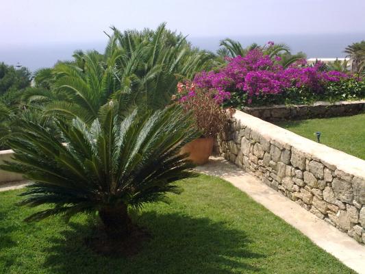 terazas con vistas al mar