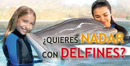 Nadar con Delfines www.originalia.es