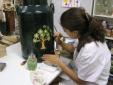 curso de pintura decorativa