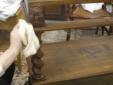curso de restauración de muebles