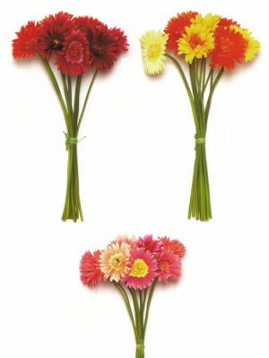 ramos gerberas artificiales de calidad. oasisdecor.com