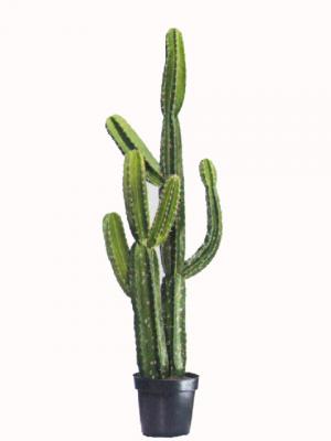 Cactus Artificiales del Oeste - ArticoEnCasa.com
