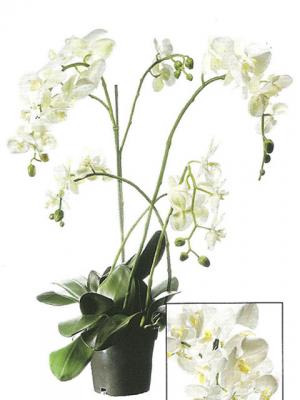 Orquídeas Artificiales de látex - Colección ArticoEnCasa.com
