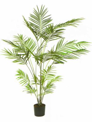 PALMERA ARTIFICIAL ARECA STAR GRANDE -Oasis Decor-
