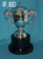 trofeos en plata y alpaca