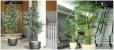 Planta Artificial ext.