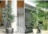 Planta Artificial ext.