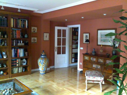 SALON ACABADO PLASTICO LISO