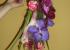 RAMO CON CAIDA  DE ORQUIDEAS