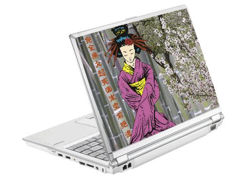 Sticker para netbook
