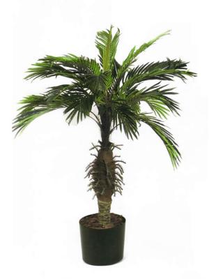 palmeras artificiales de calidad PALMERA ARTIFICIAL PHOENIX NATURA PEQUEÑA oasis decor.com
