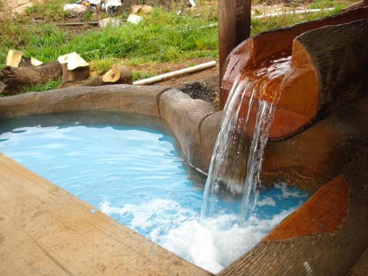 ACEQUIA TRONCOS 2