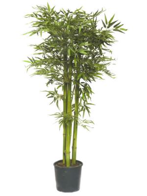 arboles bambu artificiales de calidad ARBOL BAMBU ARTIFICIAL TONGA oasisdecor.com